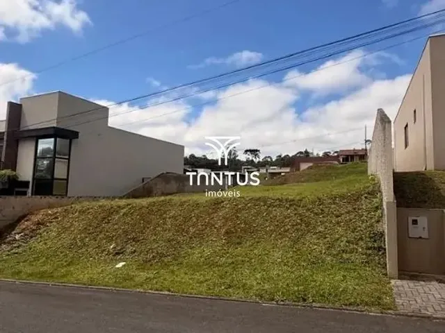 Terreno à venda, no bairro Planta Maracanã em Colombo