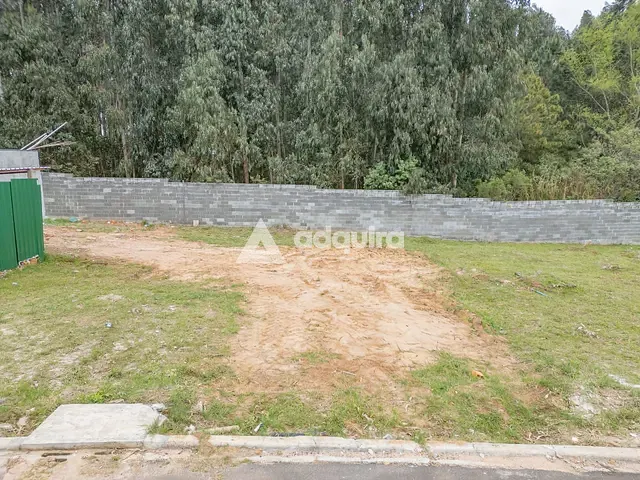 Terreno com 331m², à venda, no bairro Colônia Dona Luíza em Ponta Grossa