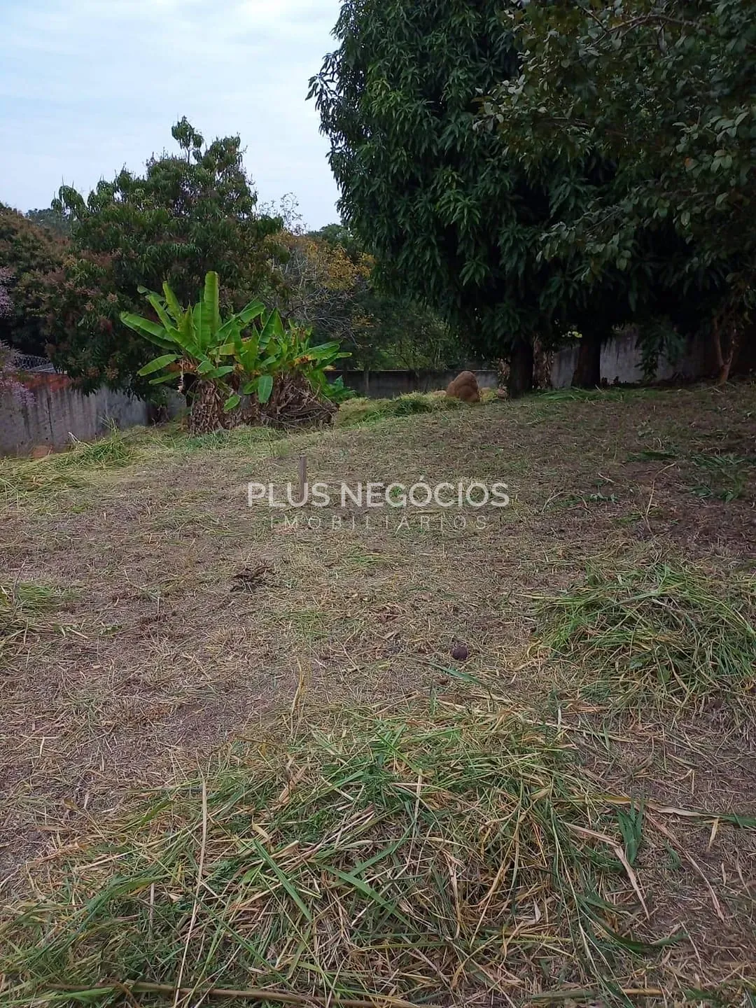 Terreno, 324 m² - Foto 3