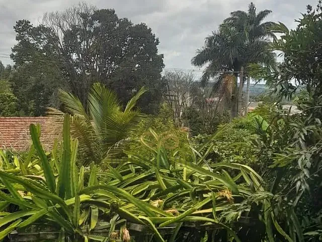 Terreno com 1203m², à venda, no bairro Loteamento São Pedro em Jaguariúna
