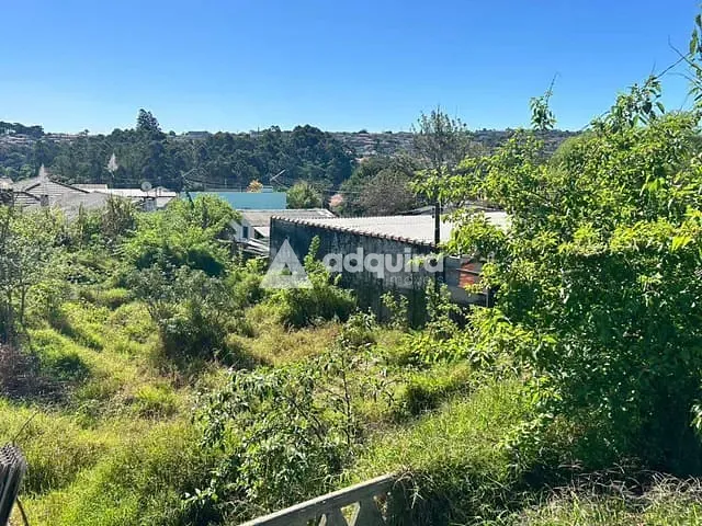 Terreno com 501m², à venda, no bairro Orfãs em Ponta Grossa