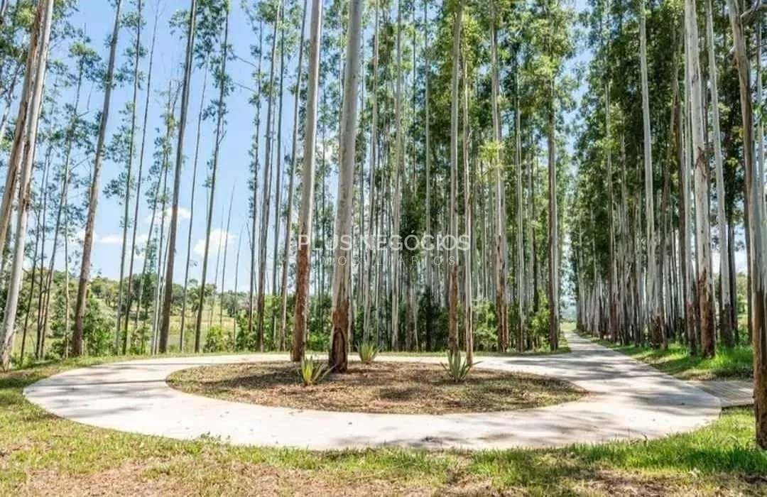 Terreno, 450 m² - Foto 17