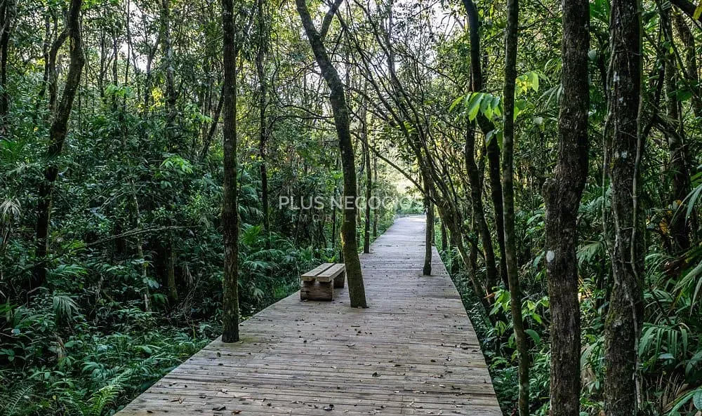 Terreno, 450 m² - Foto 69