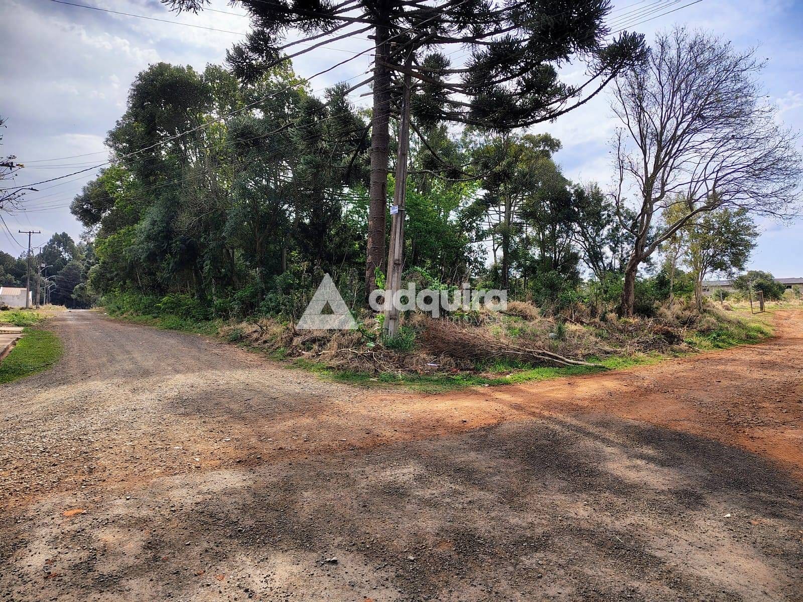 Terreno, 3026 m² - Foto 2