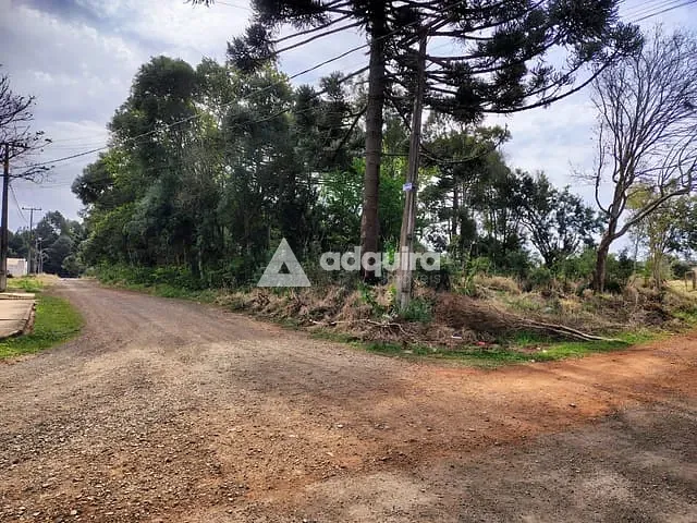 Terreno com 3026m², à venda, no bairro Cará-cará em Ponta Grossa