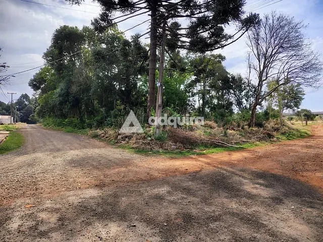 Terreno com 3026m², à venda, no bairro Cará-cará em Ponta Grossa