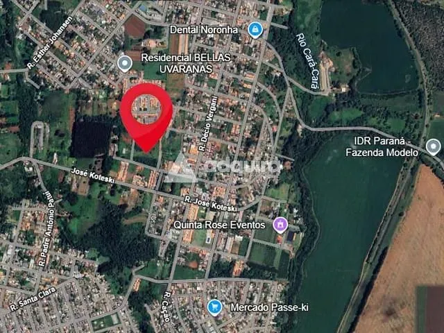 Terreno com 3026m², à venda, no bairro Cará-cará em Ponta Grossa