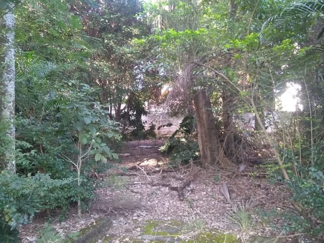 Terreno com 3200m², à venda, no bairro Alto do Tabaú em Pindamonhangaba