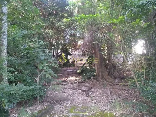 Terreno com 3200m², à venda, no bairro Alto do Tabaú em Pindamonhangaba