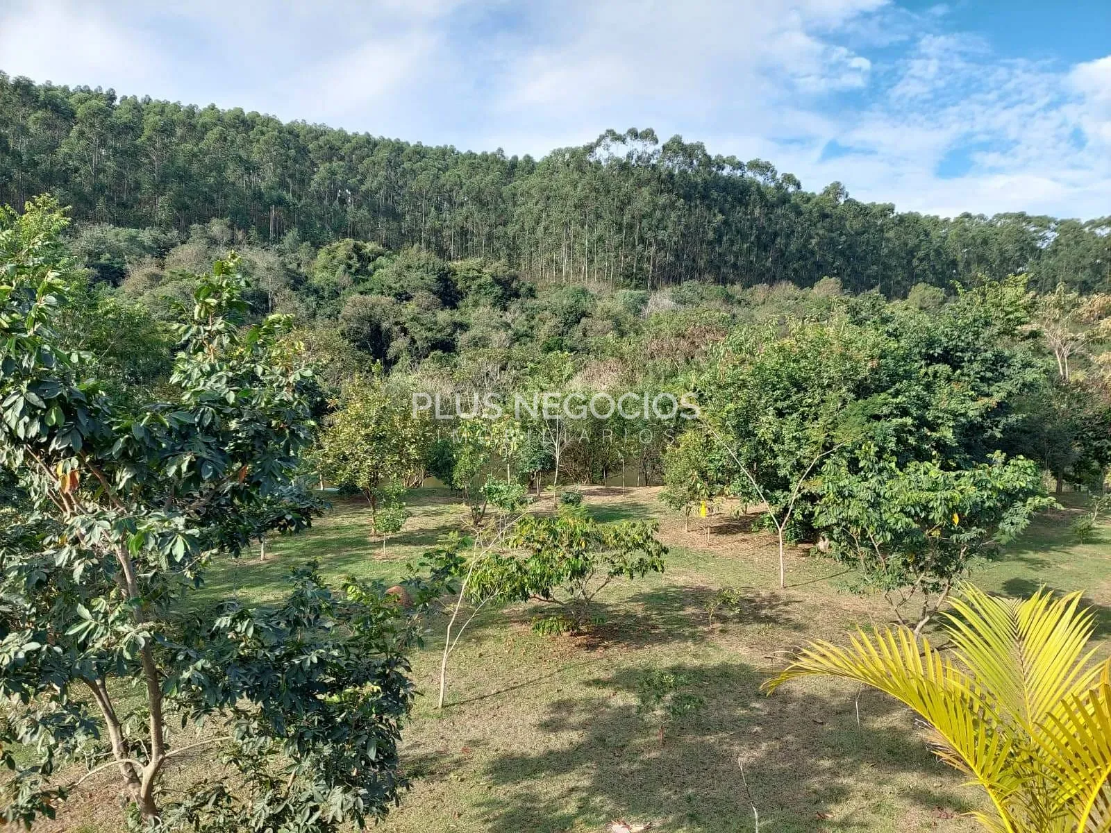Terreno, 1000 m² - Foto 16