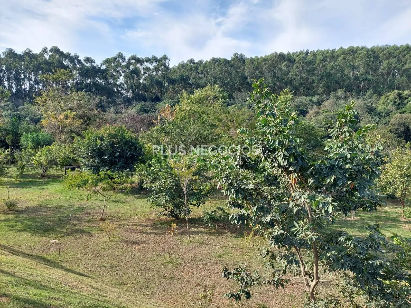 Terreno, 1000 m² - Foto 15