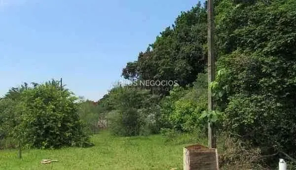 Terreno, 5000 m² - Foto 2