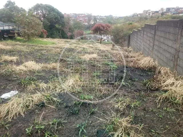 Terreno com 1535m², à venda, no bairro Jardim Shangrilá (Zona Sul) em São Paulo
