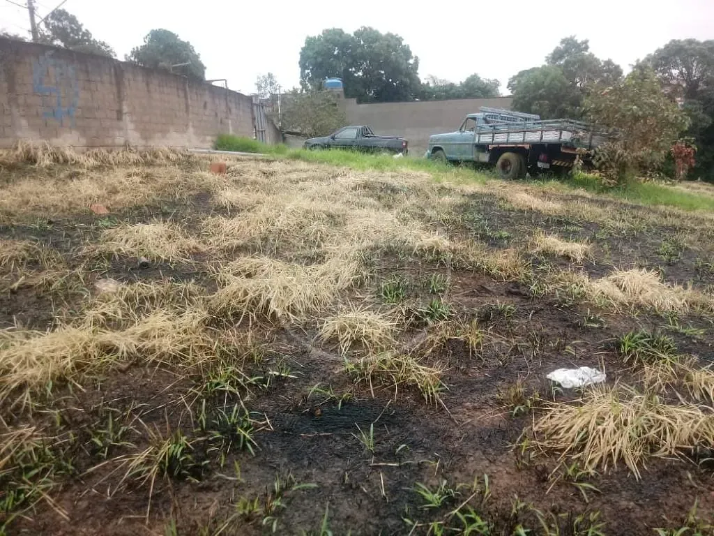 Terreno, 1535 m² - Foto 6
