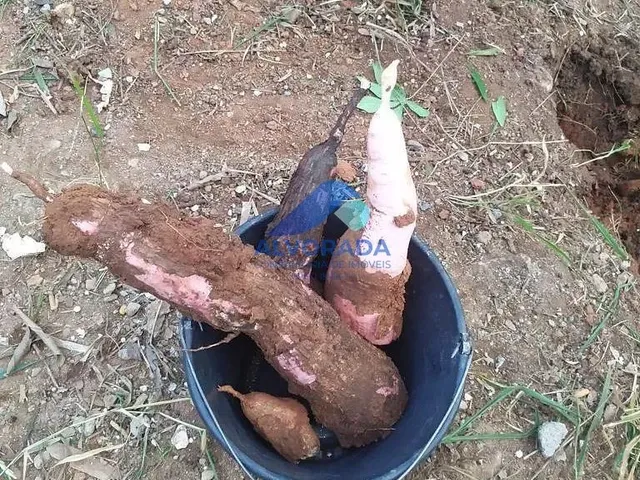 Terreno com 474m², à venda, no bairro Ipiranga em Guararema