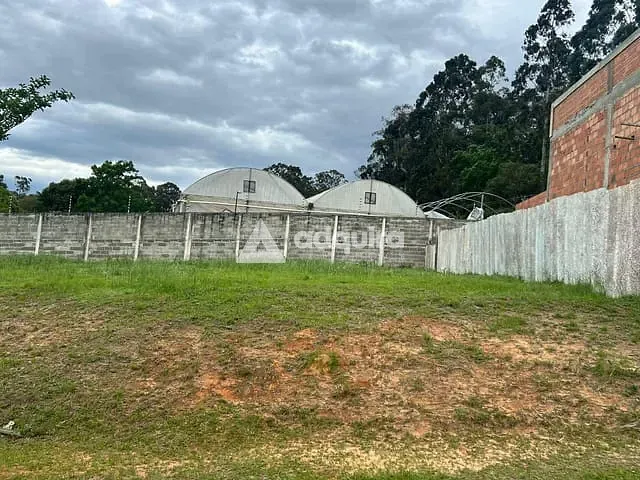 Terreno com 275m², à venda, no bairro Orfãs em Ponta Grossa