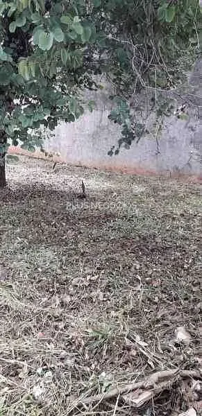 Terreno, 300 m² - Foto 2