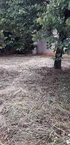 Terreno, 300 m² - Foto 3