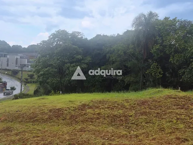 Terreno com 310m², à venda, no bairro Colônia Dona Luíza em Ponta Grossa