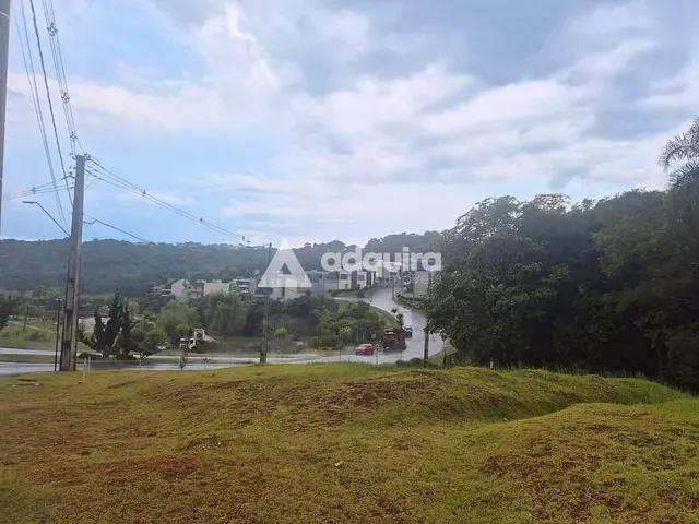 Terreno com 310m², à venda, no bairro Colônia Dona Luíza em Ponta Grossa