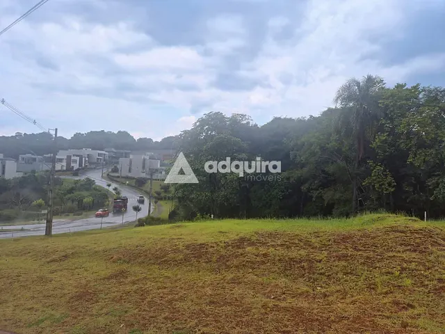 Terreno com 310m², à venda, no bairro Colônia Dona Luíza em Ponta Grossa