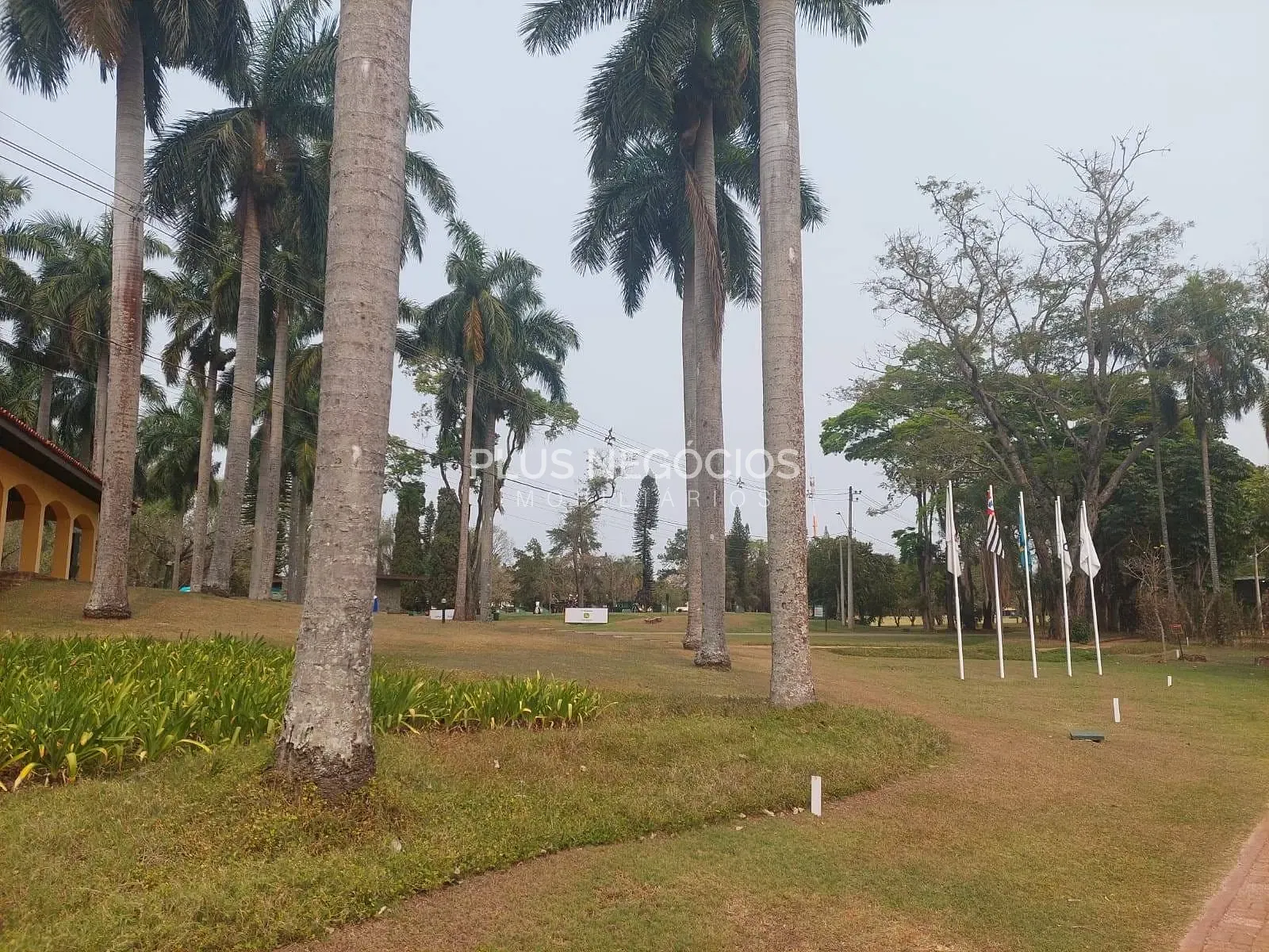 Terreno, 1500 m² - Foto 18