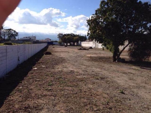 Terreno com 5000m², à venda, no bairro Crispim em Pindamonhangaba