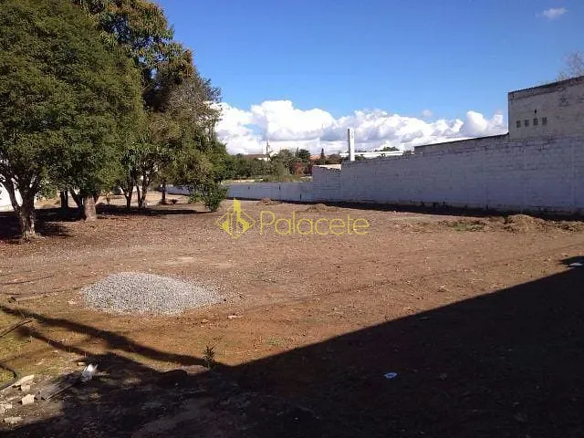 Terreno com 5000m², à venda, no bairro Crispim em Pindamonhangaba