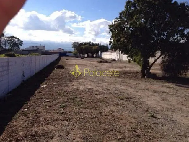 Terreno com 5000m², à venda, no bairro Crispim em Pindamonhangaba