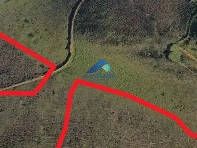 Terreno com 20000m², à venda, no bairro Roncador em São Francisco Xavier