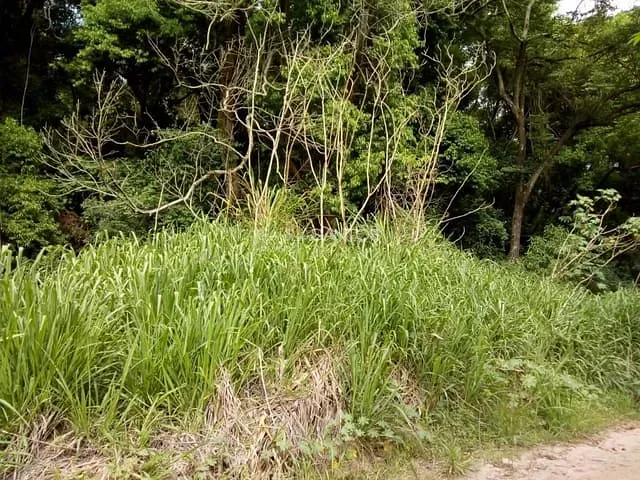 Terreno com 20000m², à venda, no bairro Caputera em Sorocaba