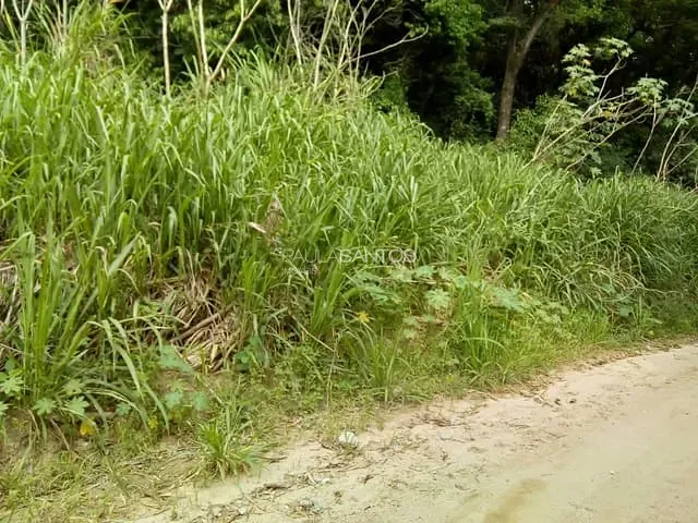 Terreno com 20000m², à venda, no bairro Caputera em Sorocaba