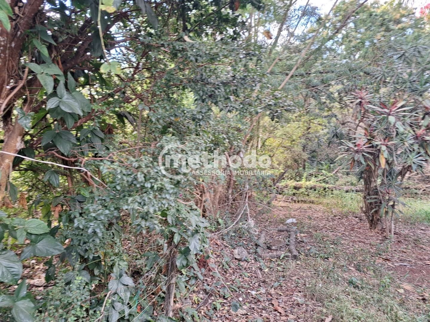 Terreno, 1425 m² - Foto 24