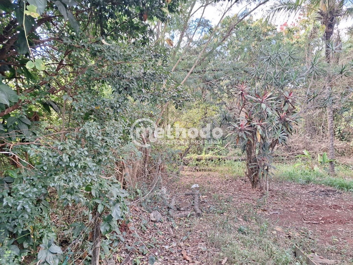 Terreno, 1425 m² - Foto 23