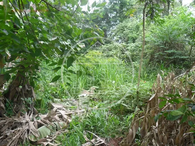 Terreno com 504m², à venda, no bairro Parque do Terceiro Lago em São Paulo