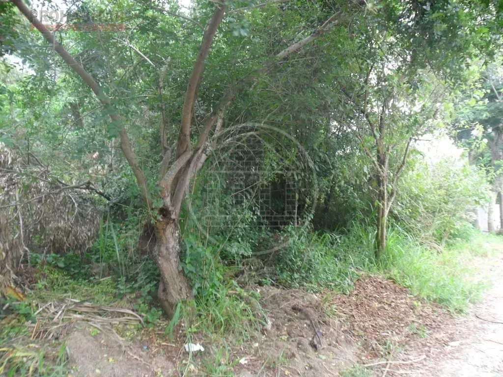 Terreno, 504 m² - Foto 7