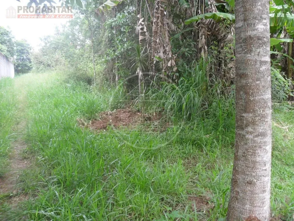 Terreno, 504 m² - Foto 6