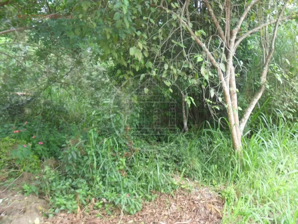 Terreno, 504 m² - Foto 8