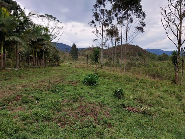 Terreno com 1605m², à venda, no bairro Goiabal em Pindamonhangaba
