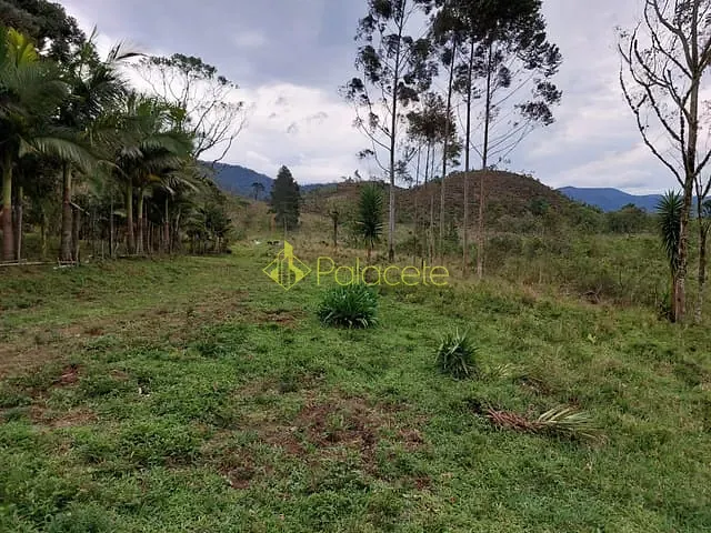 Terreno com 1605m², à venda, no bairro Goiabal em Pindamonhangaba