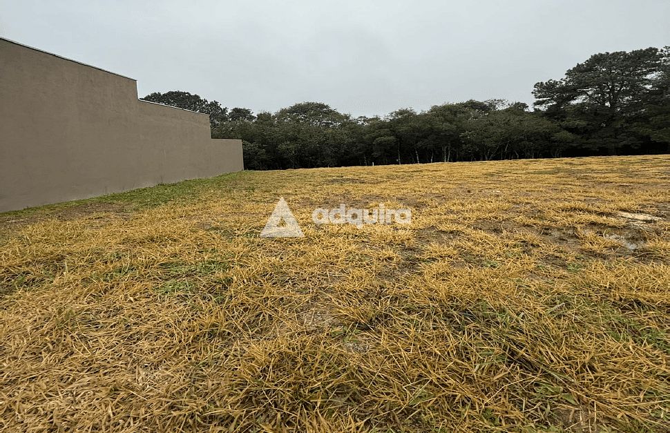 Terreno, 246 m² - Foto 2