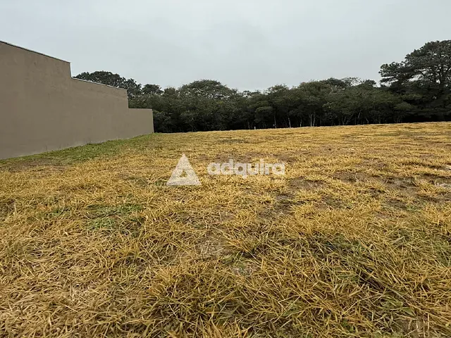 Terreno com 247m², à venda, no bairro Jardim Carvalho em Ponta Grossa