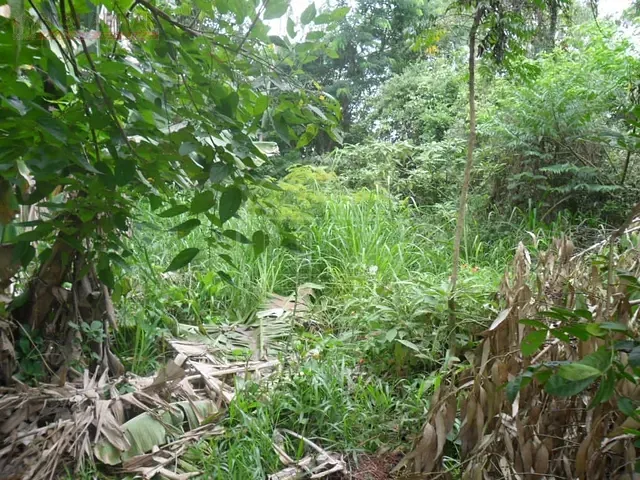 Terreno com 504m², à venda, no bairro Parque do Terceiro Lago em São Paulo