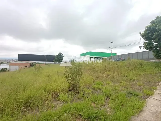 Terreno com 1449m², à venda, no bairro Boa Vista em Ponta Grossa
