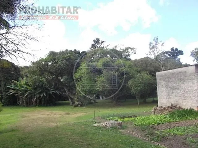 Terreno, 4 hectares - Foto 6