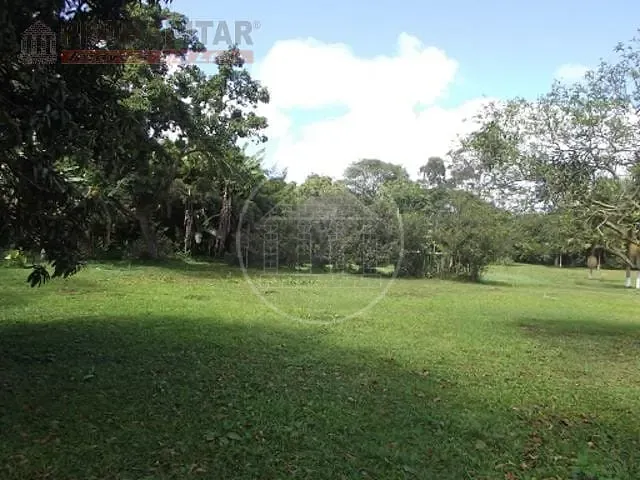 Terreno, 4 hectares - Foto 13