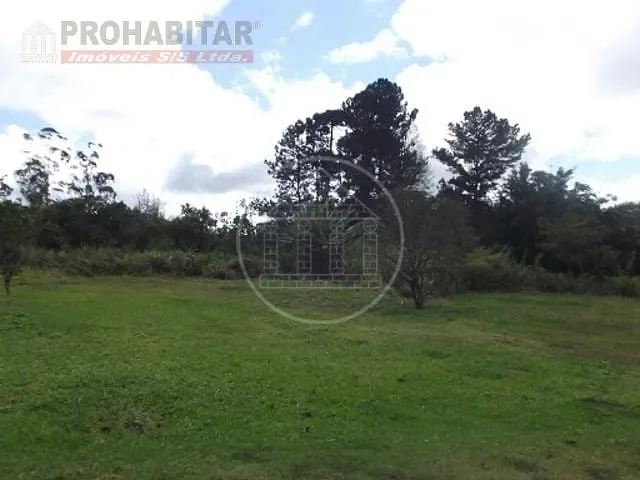 Terreno, 4 hectares - Foto 10