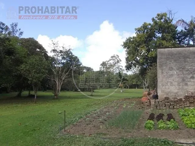 Terreno, 4 hectares - Foto 7