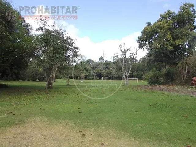 Terreno, 4 hectares - Foto 8