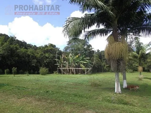 Terreno, 4 hectares - Foto 18